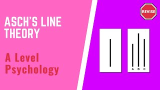 A Level Psychology  Aschs Line Theory [upl. by Nyliak]