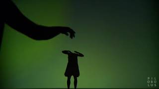 Pilobolus SHADOWLAND the quotTransformationquot excerpt [upl. by Ardnuyek950]