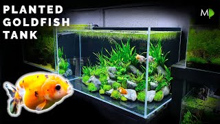 How To Planted Goldfish Aquarium Tutorial  The Ranchu Crew [upl. by Aneehsirk]