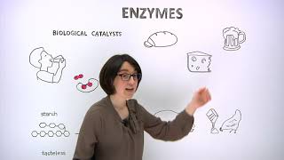 What are enzymes [upl. by Friedberg]