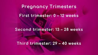 Pregnancy Trimesters [upl. by Elmer]