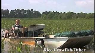 Crawfish Aquaculture in the South [upl. by Salkcin70]