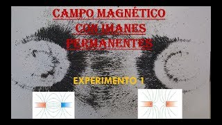 FÍSICA EXPERIMENTO 1 CAMPO MAGNÉTICO [upl. by Viens]