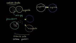 Generalidades de la comunicación celular  Biología  Khan Academy en Español [upl. by Caplan685]