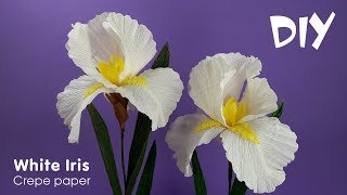 How to make crepe paper flowers  Crepe paper IRIS  DIY Craft tutorials [upl. by Speroni]