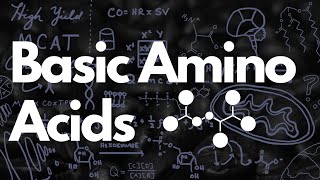 Basic Amino Acids MCAT  Histidine Tautomerization  MCAT [upl. by Artnoed655]