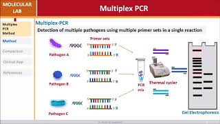 Multiplex PCR [upl. by Magulac]