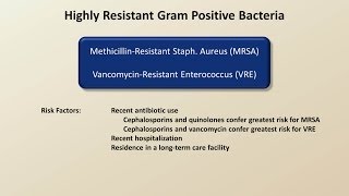 Antibiotics for Gram Positive Infections Antibiotics  Lecture 4 [upl. by Yenittirb958]