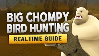 RS3 Big Chompy Bird Hunting – Realtime Quest Guide [upl. by Cesya]