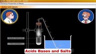 CBSE Class 10 Science  2  Acids Bases and Salts  Full Chapter  by Shiksha House [upl. by Alra]