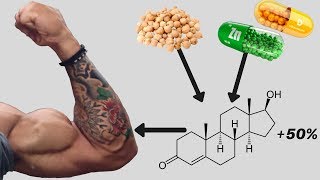 How to Increase Your Testosterone NATURALLY 18 Studies [upl. by Anaujik901]