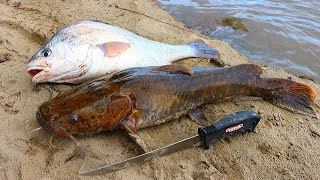 Catch n Cook Flathead Catfish amp Drum  Ace Videos [upl. by Annovahs]