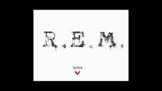 Rem  Disturbance at the heron house  Lyrics [upl. by Anij]