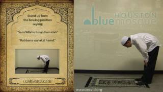 How to Pray  Zuhr Noon Pray  Fardh [upl. by Lenee628]