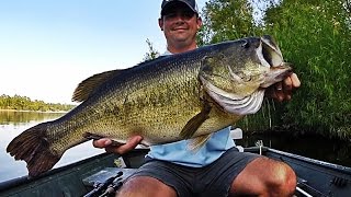 Topwater Bass Fishing Blowups Series 6  50 Big Bass Strikes [upl. by Forester488]