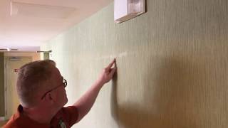 What To Do With Glue Stains On Your Vinyl Wallpaper  Spencer Colgan [upl. by Lonyer]