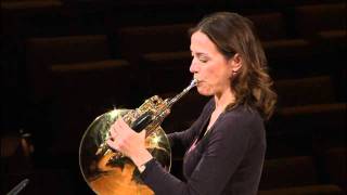 Berliner Philharmoniker Master Class  Horn [upl. by Joycelin352]