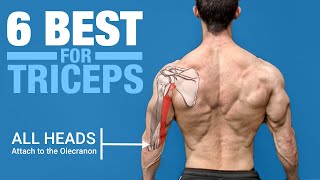 6 BEST Triceps Exercises ANATOMY BASED [upl. by Cris]