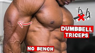 DUMBBELL TRICEP WORKOUT AT HOME  NO BENCH NEEDED [upl. by Hermione]