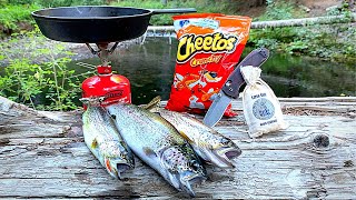 3 SPECIES Trout Catch amp Cook Mountain Fishing Underwater Bites [upl. by Eserahc]