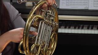 How to Play the French Horn [upl. by Hepsoj]