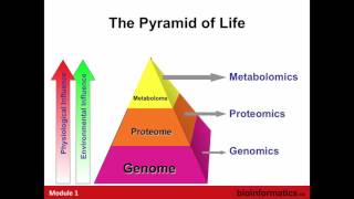 Introduction to Metabolomics [upl. by Aoh]