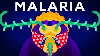 Genetic Engineering and Diseases – Gene Drive amp Malaria [upl. by Tanner708]