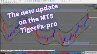 Best MT5 Trading System Indicators 2021just get updated100 super [upl. by Gilbye]