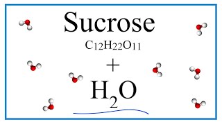 Equation for C12H22O11  H2O Sucrose  Water [upl. by Evanthe]