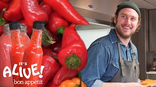 Brad Makes Fermented Hot Sauce  Its Alive  Bon Appétit [upl. by Rhodie]