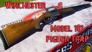 Winchester Model 101 Pigeon Trap [upl. by Bakemeier758]