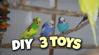 3 Simple Wooden Budgie Toys  DIY [upl. by Reiser922]