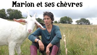 Élever des chèvres et faire du fromage [upl. by Joane448]