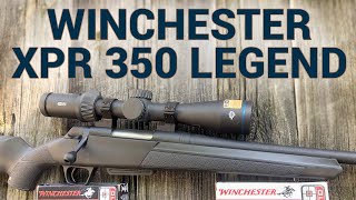 Gun Review Winchester XPR in 350 Legend [upl. by Anauqahc]