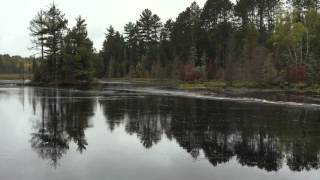 Beaver Dam Collapse [upl. by Nakada]