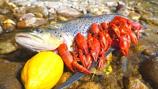 Catch n Cook BROWN TROUT and River CRAWFISH [upl. by Vassell]