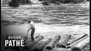 Logging In Idaho  USA 1926 [upl. by Costin]