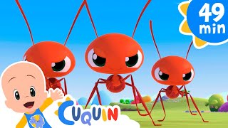 Ants go marching and more nursery rhymes of Cleo and Cuquin  Songs for kids [upl. by Mcmillan]