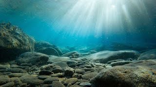 Geology 14 The Ocean Floor [upl. by Aratal]