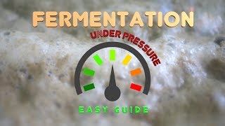 Fermentation Under Pressure Easy Guide [upl. by Okubo]