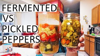 Fermented vs Pickled Peppers [upl. by Acsot]