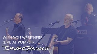 David Gilmour  Wish You Were Here Live At Pompeii [upl. by Yrot239]