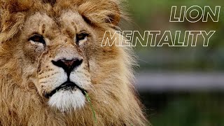 Lion Mentality Motivational Video [upl. by Swithbert]