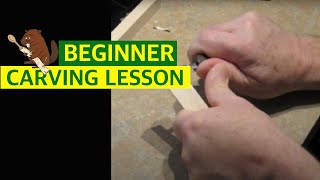 Beginner Woodcarving  Basic Cuts [upl. by Wearing906]