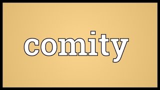 Comity Meaning [upl. by Duffy]