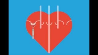 Langendorff isolated Perfused heart [upl. by Cinderella427]