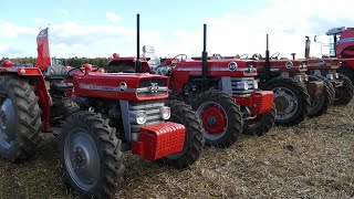 Massey Ferguson 148 178 188 amp 1080 4WD Special Tractor out working in the field  DK Agriculture [upl. by Noterb809]