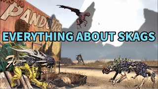 Borderlands Everything About Skags [upl. by Derek]