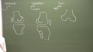 MI 2  Anatomie du genou Knee anatomy [upl. by Abie]