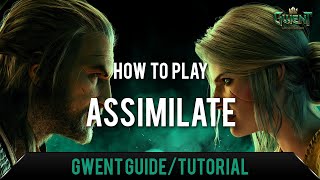 GWENT How To Play Assimilate GuideTutorial [upl. by Springer]